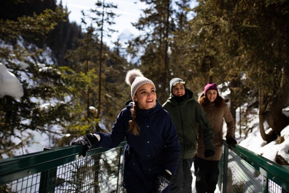 Best of Banff Winter | Lake Louise, Frozen Falls & More - Pickup and Drop-off