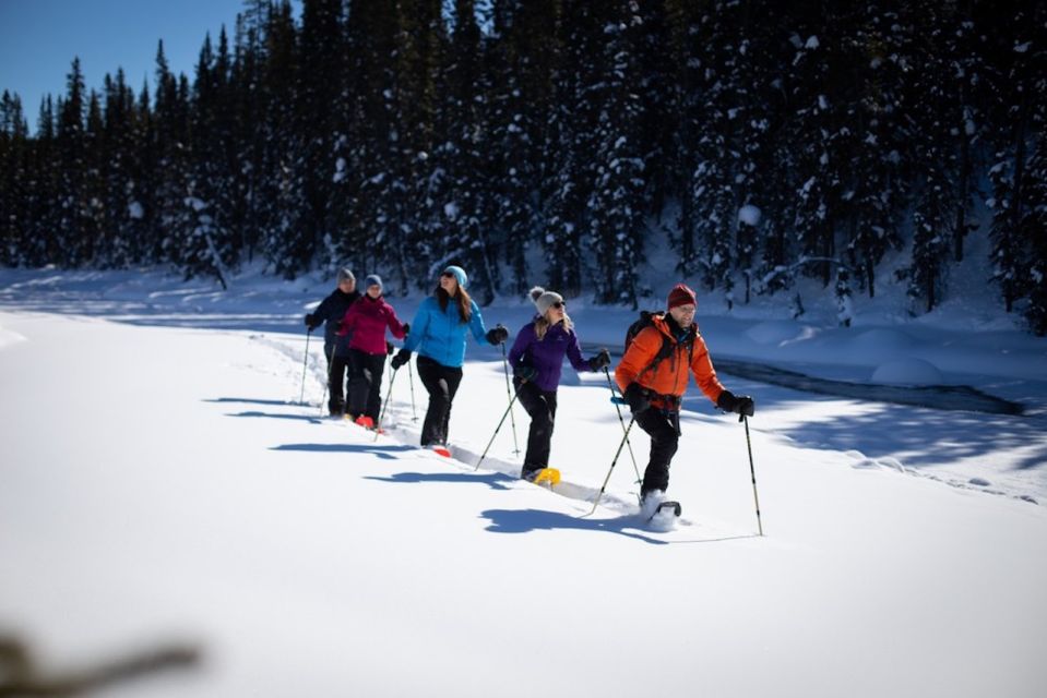 Best of Banff Winter | Lake Louise, Frozen Falls & More - Cancellation Policy
