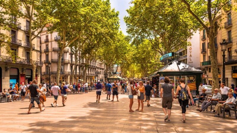 Best of Barcelona: Private Walking Tour with a Local - Why Choose a Private Local Tour in Barcelona?