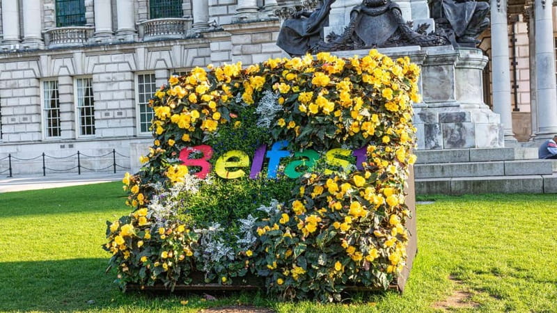 Best of Belfast: Private Walking Tour with a Local - Who Should Book This Tour?