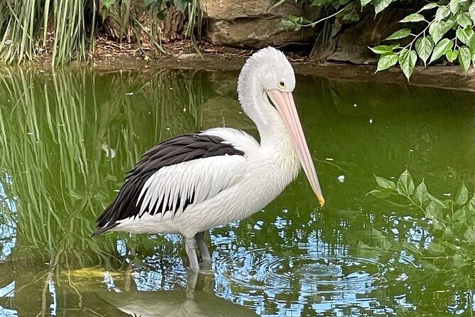 Best of Blue Mountains: Private Tour - FAQs