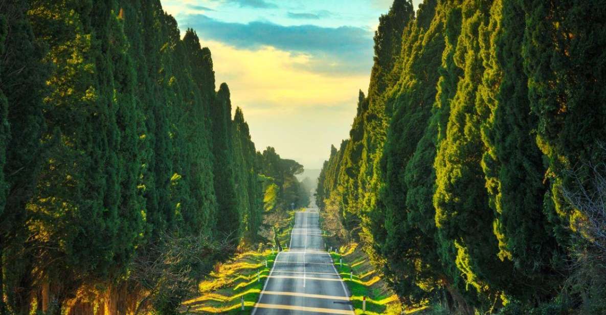 Best of Bolgheri- Full Day Private Experience in Bolgheri - Activity Highlights