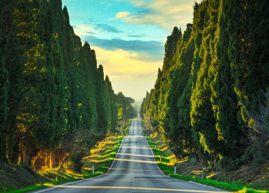 Best of Bolgheri- Full Day Private Experience in Bolgheri - Itinerary