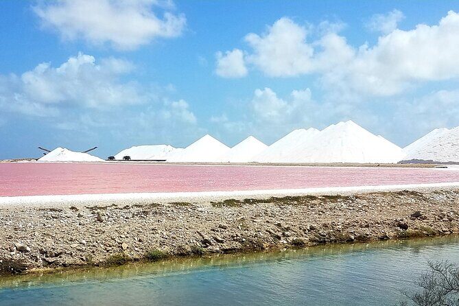 Best of Bonaire - Full island tour with a local. - The Itinerary in Detail