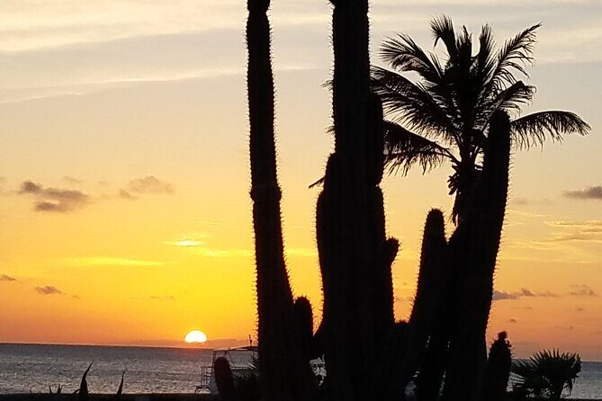 Best of Bonaire - Full island tour with a local. - City Center