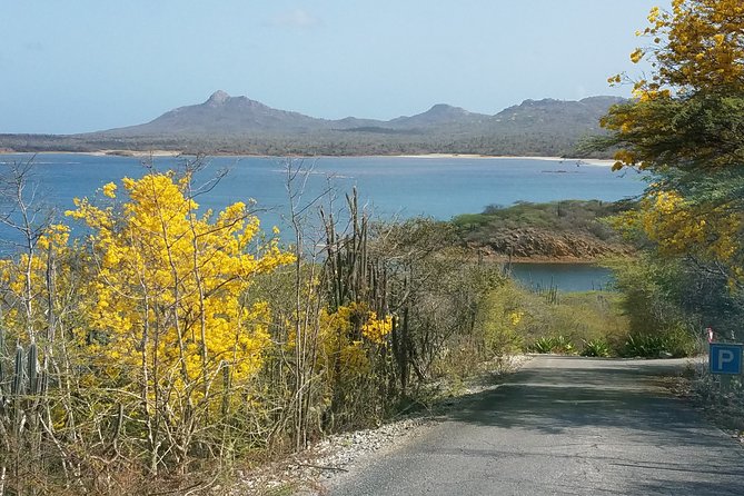 Best of Bonaire - Full Island Tour With a Local. - Logistics and Accessibility Details