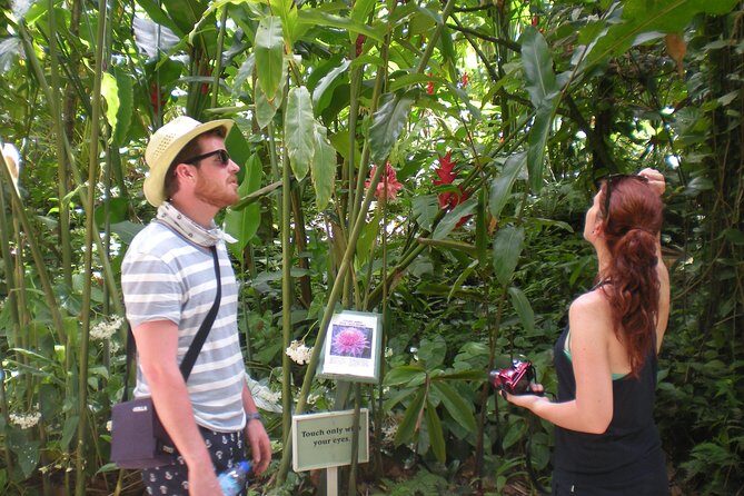 Best of Both Worlds Land and Sea Adventure - FAQ