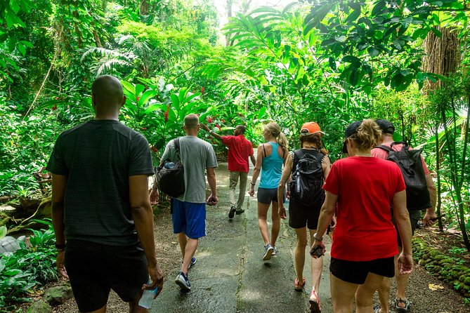 Best of Both Worlds Land and Sea Adventure - Guest Reviews and Experiences