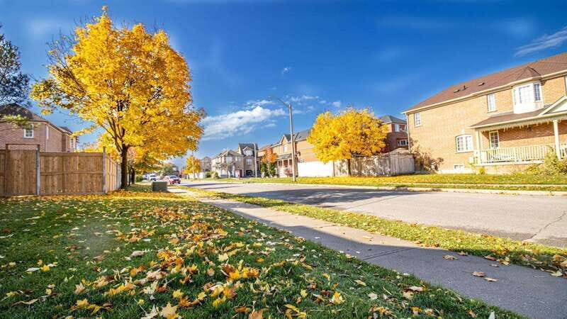 Best of Brampton: Private Walking Tour with a Local - Practical Details & Value