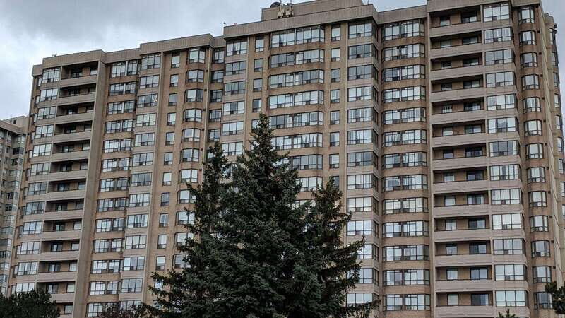 Best of Brampton: Private Walking Tour with a Local - Final Thoughts