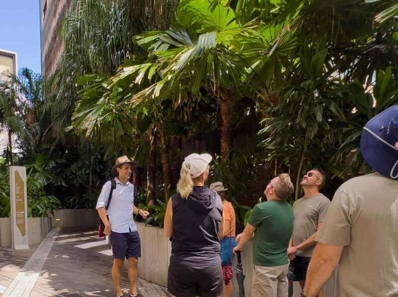 Best of Brisbane Walking Tour | Small Group & snack - Authentic Experiences and Genuine Value
