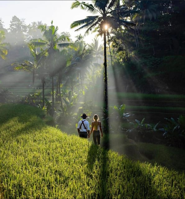 Best Of Central Bali : Holy Water/Elephant Cave /rice Fields - FAQ