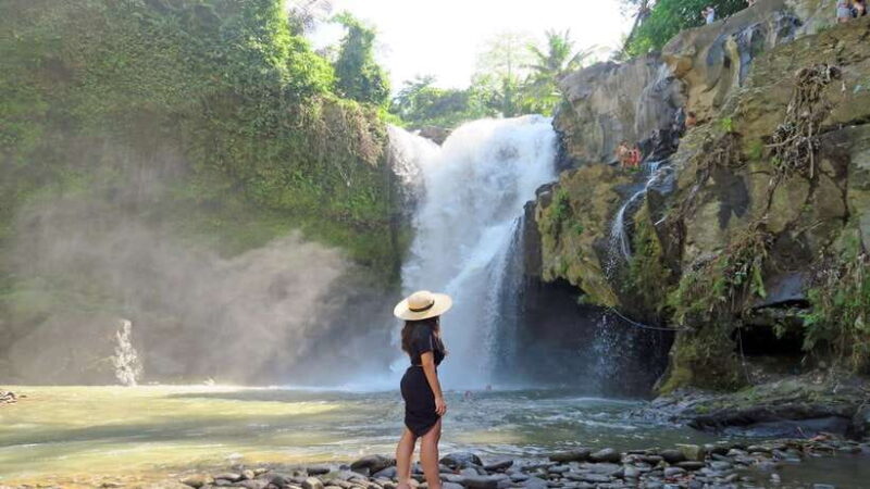 Best of Central Bali: Waterfall, Elephant Cave & Rice Fields - Exploring Bali’s Natural Beauty and Spiritual Heritage