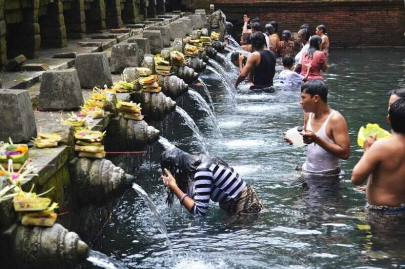 Best of Central Bali: Waterfall, Elephant Cave & Rice Fields - Practical Details and Experience Highlights