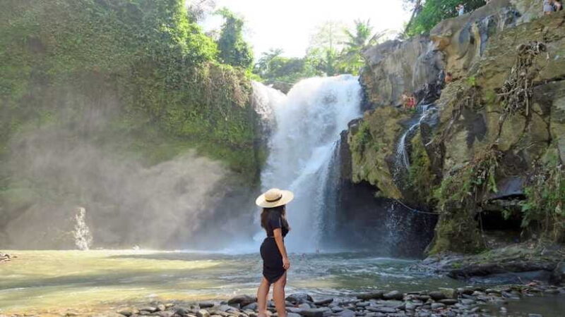 Best of Central Bali: Waterfall, Elephant Cave & Rice Fields - FAQ