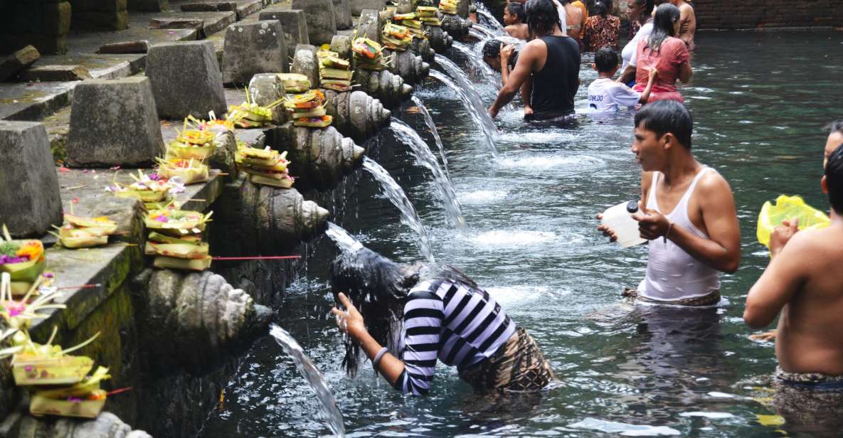 Best of Central Bali: Waterfall, Elephant Cave & Rice Fields - Itinerary