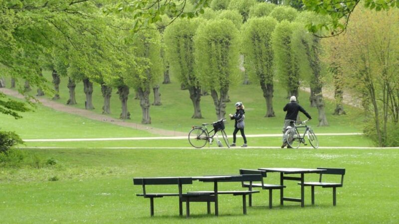 Best of Copenhagen: Private Walking Tour with a Local - Practical Details