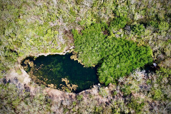Best of Cozumel Tour - Experiencing Local Flavors and Scenic Beauty