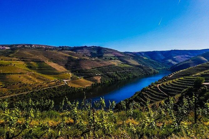 Best of Douro Valley Wine Full Day Private Tour - Pickup and Meeting Points