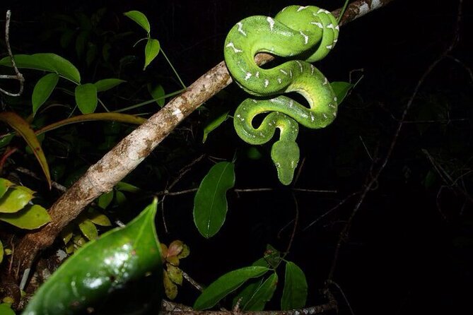 Best of Ecuadors Mainland in 14 Days - Discovering the Cloud Forest of Mindo
