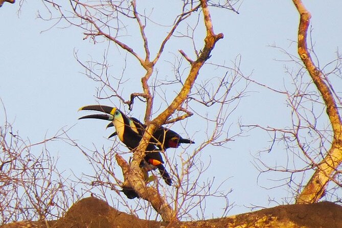 Best of Ecuadors Mainland in 14 Days - Taking in Amazonian Jungle Adventure