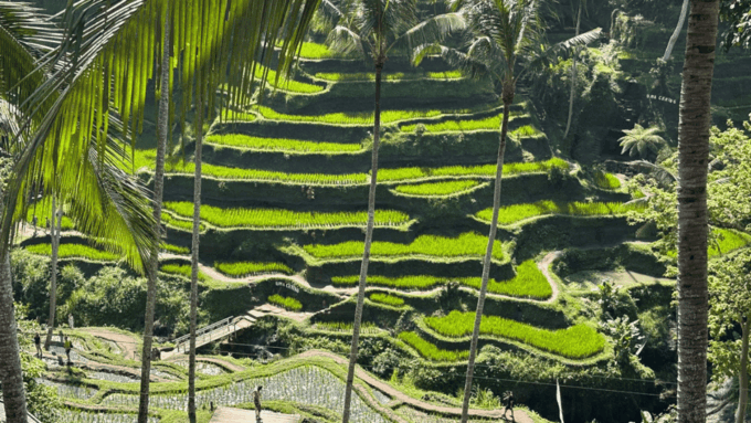 Best of Experience Full Day Ubud Tour With Private Driver - Pickup and Drop-off Locations