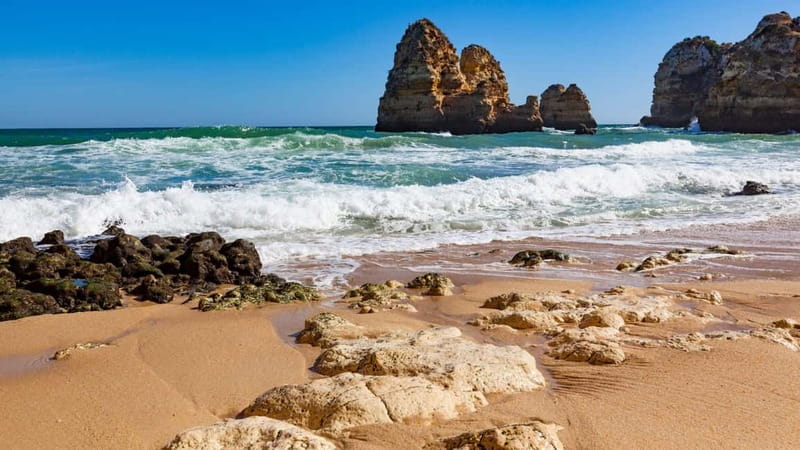 Best of Faro: Private Walking Tour with a Local - Key Points