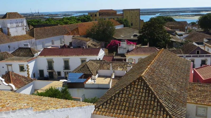Best of Faro: Private Walking Tour with a Local - Who Will Love This Tour?