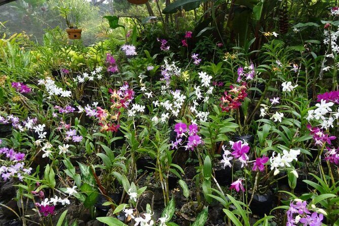 Best of Fiji Tours: 3 Days Package - Frequently Asked Questions