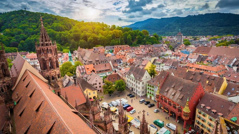 Best of Freiburg: Private Walking Tour with a Local - Exploring Freiburg with a Local’s Touch