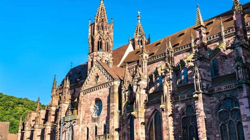 Best of Freiburg: Private Walking Tour with a Local - The Practicalities