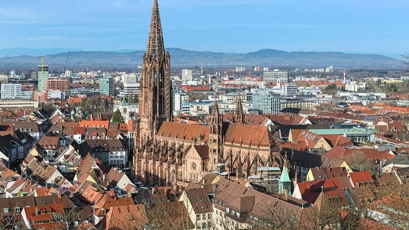 Best of Freiburg: Private Walking Tour with a Local - Who Will Love This Tour?