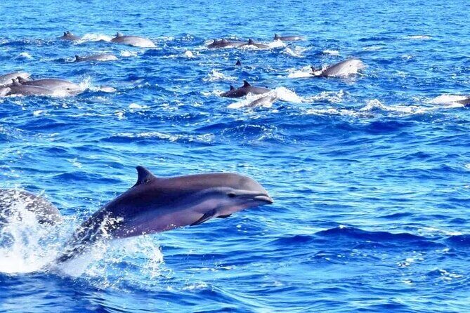 Best Of Full-Day Snorkeling & Beach Excursion with lunch & drinks - FAQ