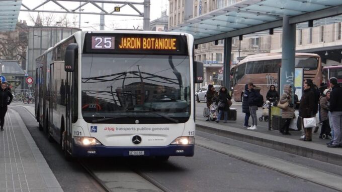 Best of Geneva: Private Walking Tour With a Local - Additional Considerations