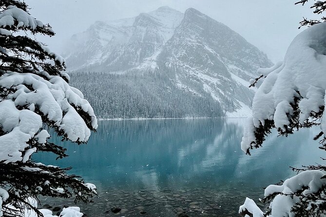 Best of Glaciers From Calgary/Canmore/Banff - Health and Accessibility