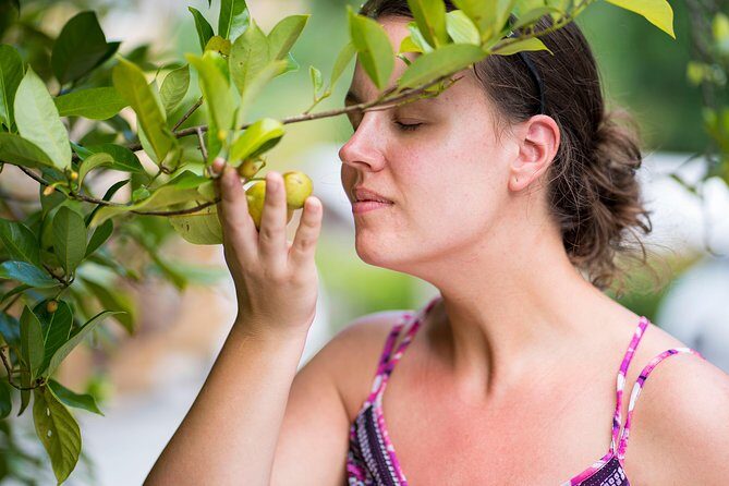 Best of Grenada: Waterfalls, Chocolate, Nutmeg Museum, History - The Itinerary in Detail