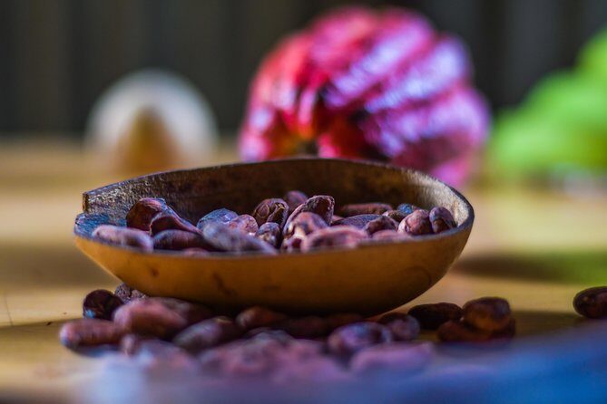 Best of Grenada: Waterfalls, Chocolate, Nutmeg Museum, History - The Sum Up