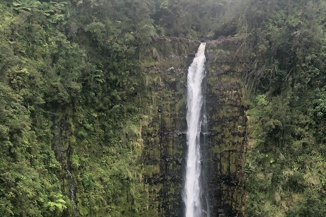 Best of Hilo and Hamakua Coast Review - Final Verdict On This Stay