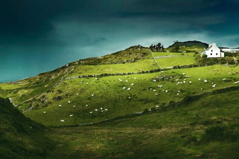 Best of Ireland 6-Day Backpackers Economy Tour - Pricing and Booking Details