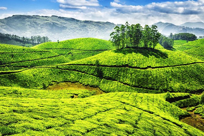 Best of Kerala Tour - Inclusions and Exclusions