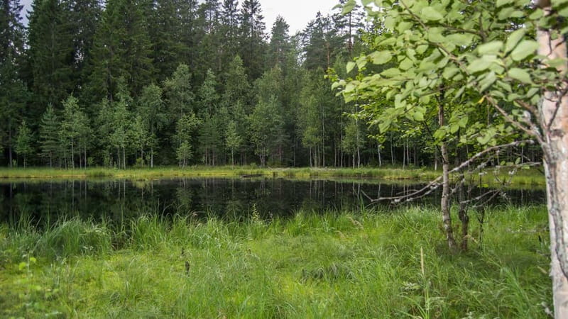 Best of Kuopio: Private Walking Tour with a Local - Final Thoughts