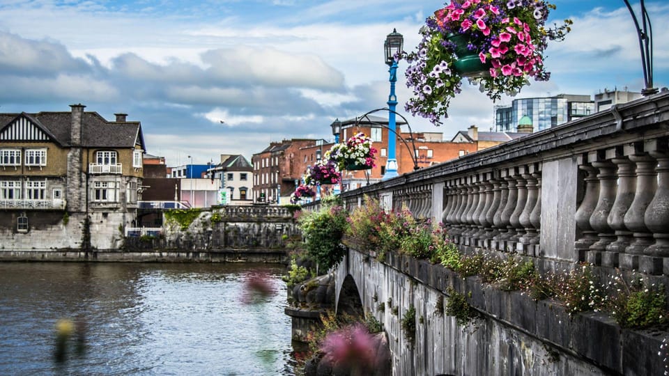 Best of Limerick: Private Walking Tour with a Local - Key Points