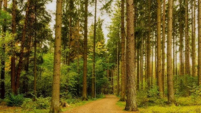 Best of Linköping: Private Walking Tour with a Local - FAQ