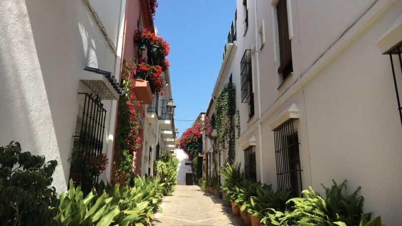 Best of Málaga: Private Walking Tour with a Local - The Experience in Practice