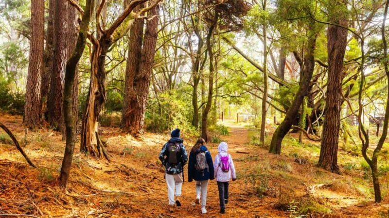 Best of Melbourne: Private Walking Tour with a Local - The Walking Itinerary and Practical Details