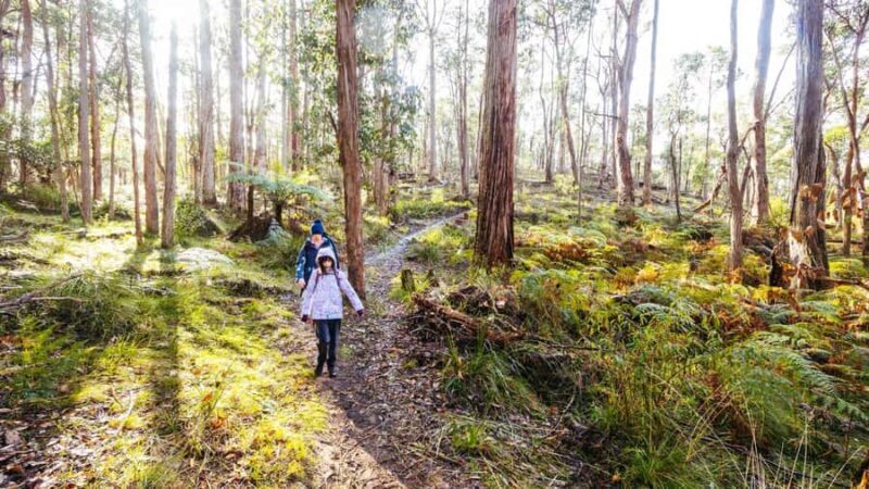 Best of Melbourne: Private Walking Tour with a Local - Who Should Book This Tour?