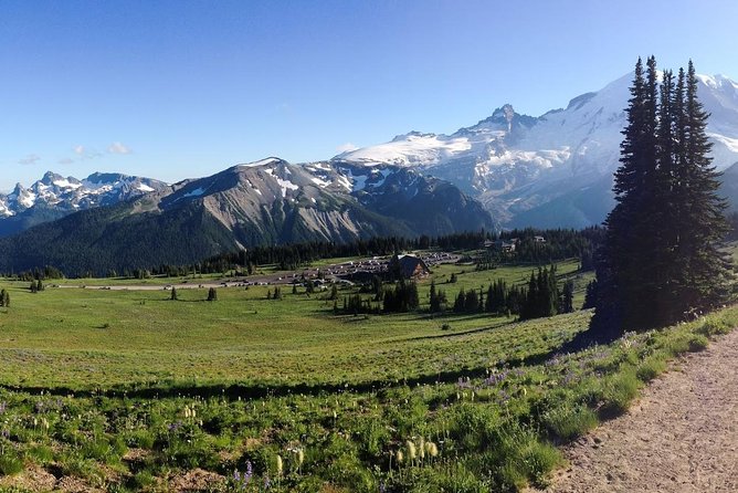 Best of Mount Rainier National Park From Seattle: All-Inclusive Small-Group Tour - Booking Information