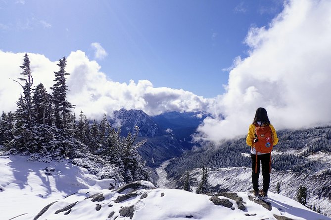 Best of Mount Rainier National Park From Seattle: All-Inclusive Small-Group Tour - Tour Logistics