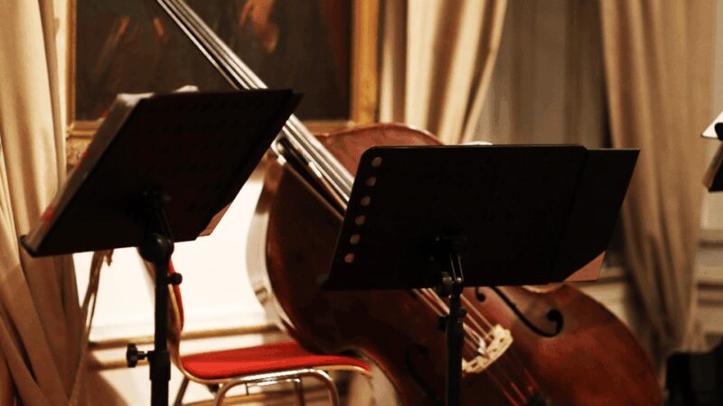 Best of Mozart & Strauss - An In-Depth Look at the Experience
