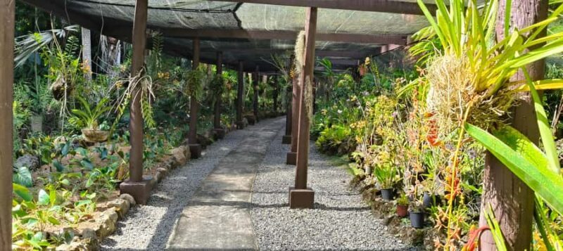 Best of Nadi Highlights - Valuable Insights from Reviews